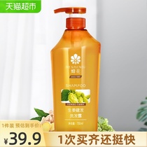  Bee Flower silicone-free Shampoo anti-dandruff anti-itching oil control fragrance long-lasting fragrance ginger shampoo for women and men