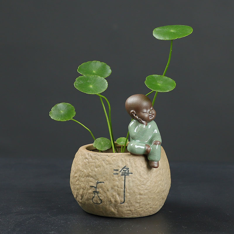 花盆日式禅意-花盆日式禅意促销价格、花盆日式禅意品牌- 淘宝