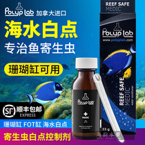 Canadian Polyplab MEDIC coral tank FOT tank seawater White spotted fish outer parasitic control agent