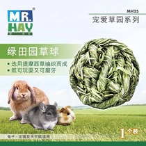 Straw Mr. Grass Favourite Grass Garden Series Ti Moshe Grass Ball geranium Rabbit Dragon Cat Grindhis with Tooth Snack Toy