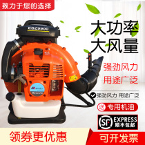 Gasoline hair dryer back type high-power greenhouse snow blower Road leaf construction site industrial dust wind extinguisher