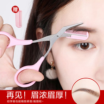 Brow Brow Scissors With Brow Comb Female Beginner Tool Suit Eyebrow Trimmer Shawter Eyebrow Knife Painting Brow Eyebrow Full Set