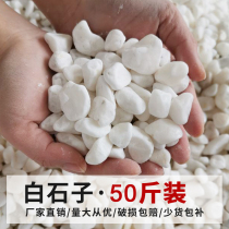 50 catty white pebble pebble cobblestone raw stone natural multimeat paved surface stone gardening courtyard with view flower pots white stones