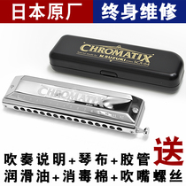 SUZUKI Japan Suzuki SCX-64 56 48 Imported 16-hole chromatic harmonica novice playing beginner learning