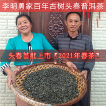 Li Mingyong Family Yun Nan Qiao Wood Spring Ancient Tree Puer Tea Raw Tea Bulk Farmhouse Tea 250g Pure Spring Tea