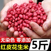 Farmhouse red peanuts 5kg of new goods four red with Shell dried fresh raw peanuts red peanut kernels