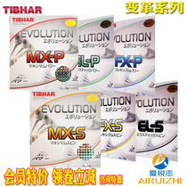 Tibhar straight MX-P change FX EL-P-S table tennis racket rubber core change 5G country change anti-glue set glue
