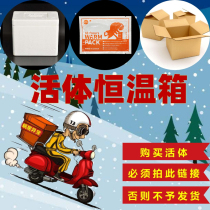 Insulation box warm treasure-this product is not returnable for one-time use
