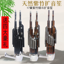 Professional Sheng instrument 17-spring amplified sheng Ebony sheng horn Professional performance sheng 17-spring amplified sheng Ebony sheng horn Lusheng