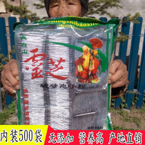 Jilin Changbai Mountain Ganoderma lucidum spore powder 500 bags 1g 1 bag head Road powder Linzhi powder origin straight hair