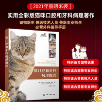 Cat oral and dental pathology map Cat dental pathology map Treatment manual Canine and cat histology Tooth structure Canine and cat tooth line map Small animal periodontal exploration legend Pet doctor Veterinary entry reference