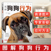 Genuine illustration of dog behavior Interpretation of 100 poses expressions and sounds Pet pet feeding animal behavior More than 130 high-definition large pictures help you read the dog Understand the dogs behavior Back