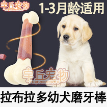 Labrador molars toys pet puppies special dog bite-resistant artifact large dog supplies