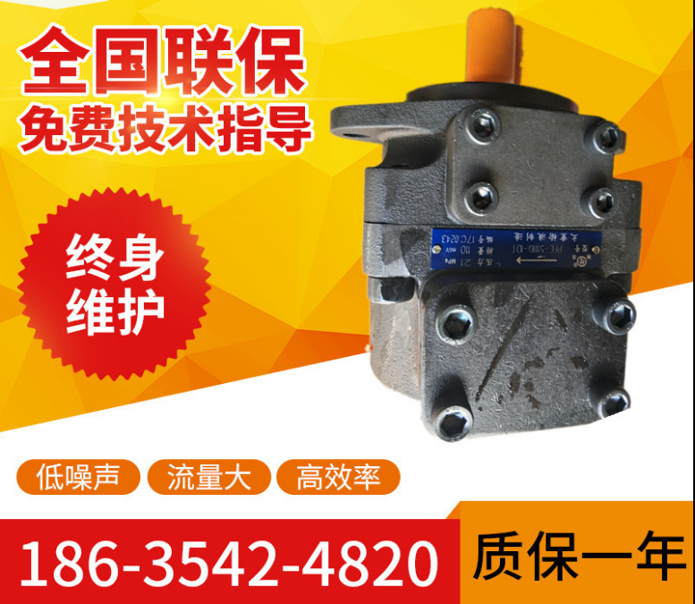 The off-the-shelf supply is too heavy for the pin-type PTE-41056-1DT series blade pumps