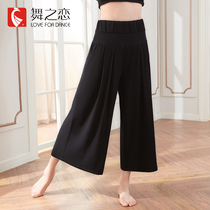 Dance love 21 spring and summer new dance pants female adult classical folk dance practice clothes modern dance loose wide leg pants