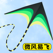 2021 new kite children Long tail Microwind easy to fly adults Great prairie outdoor special adult wire wheel