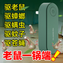 To kill the mouse paste the strong sticky mouse plate oversized glue gun artifact ranking one smell to track the blue medicine