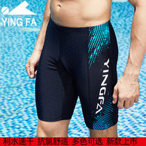 British hair swimming trunks mens five-point quick-drying large size swimming trunks hot spring knee-length professional imitation shark skin bathing suit