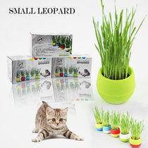 Little wild leopard candy planting cat grass soil cat grass set with two sets of flower pot Crystal mud seeds