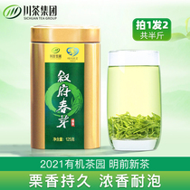 (Shoot 1 Hair 2) Xufu Spring Bud Green Tea Tea Tea 2021 new tea before the special mountain organic tea garden 125g