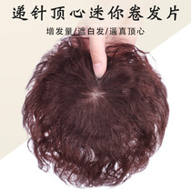 Wig female real human hair silk corn perm hair block cover white hair increase hair volume Natural incognito invisible head hair repair