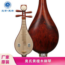 Xinghai Liuqin musical instrument professional acid branch wood Aoshi Dalbergia material copper fine-tuning flowers blossom rich Liu Qin 8414