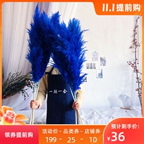 ins Big Pun Reed dried flower Royal Blue Reed Hanfeng coffee shop decoration photo props clothing store window ornaments