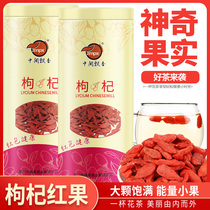 Lycium barbarum authentic Ningxia Yizi Red Gongqi Tea Gouqi Dried Drinking Mens Kidney and Chrysanthemum Tea Rose