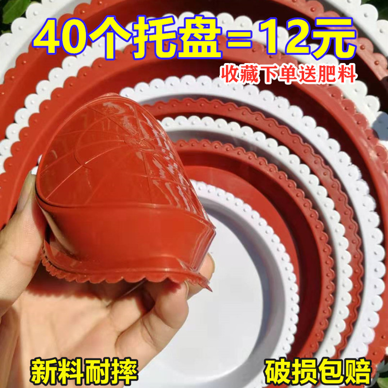 Green roical pot tray thickened round flower tray bottom pad deep bottom water plate basin pad large plastic tow plate base