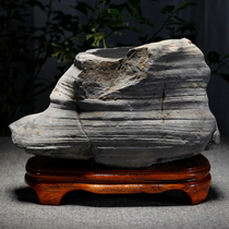 Anhui non-legacy She inkstone Old Pit black dragon tail Inkstone natural original stone end inkstone high-end Study four treasure Wood fossil ornaments