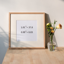 Character painting mounting frame outer frame State painting calligraphy frame solid wood photo frame square picture frame hanging wall customized arbitrary size