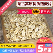 Oatmeal Pure Oatmeal 5 Jin Raw Oatmeal Kernel Inner Mongolia Farmhouse Natural Plain Natural Plain Degreasing and Sugar Free Bulk