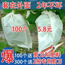 (Factory direct sales)Grape bag insect-proof bird-proof waterproof fruit bag bag Grape bag special set grape paper bag