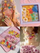 Japanese applique eye makeup stick Diamond sequin makeup dry flower veneer Mori butterfly face nail art Children bride