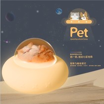 New pet spacecraft silicone night light usb charging colorful atmosphere light bedroom bedside LED light birthday gift