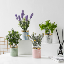 Nordic ceramic simulation plant potted ornaments interior decoration living room desktop green plant ins fake bonsai