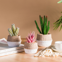 Creative desktop fake succulent plant decoration small potted Nordic indoor mini simulation green plant living room fake flower ornaments