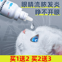  Small shell eye drops Cat eye cleaning Pet nose removal Tear marks inflammation Anti-inflammatory Cat and dog eye drops