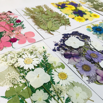 Real monogram flower network celebrity face decoration eye corner stickers petal makeup fairy makeup bridal makeup dry flower makeup girl photo