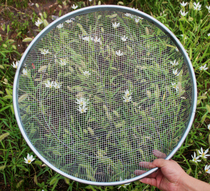 Sieve stainless steel round large screen sand filter mesh sand screen sand screen corn screen planting gardening