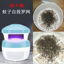 Mute mini mosquito killer lamp new artifact home to lure mosquitoes and flies to kill mosquitoes