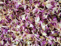 New flower Guizhou Chishui Nobile Dendrobium tea dried flower Qinghe dispel fire beauty non Huoshan iron dendrobium