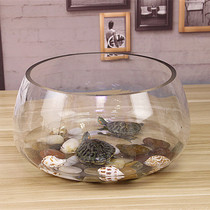 Fish tank glass round desk Green dill hydroponic household small fish creative transparent small mini desktop turtle tank