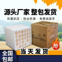 Pearl Cotton Egg Toegg packaging box Shockproof Express Transport Case packed egg packaging box for egg tots of eggs