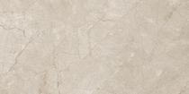Dongpeng Platinum Ash YF272652