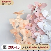ladylike feel Phalaenopsis simulation flower living room fake flower orchid potted Vase ornaments flower arrangement