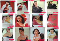 1993 calendar Hong Kong and Taiwan star Weng Hongli Zhi Li Jiaxin Zhang Fengni Li Meifeng Le Bei 7 Zhang Quan