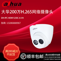 Dahua 2 million DH-IPC-HDW1230C-A-V4 H 265 built-in audio dome network camera