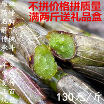 Yandang Mountain three-year imitation of wild Dendrobium candidum fresh strips fresh Huoshan tin maple old strip 500g