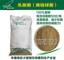 10kg of forest biological lactic acid bacteria (Streptococcus faecalis) improves intestinal absorption and purification of water quality